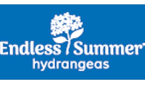 Endless Summer