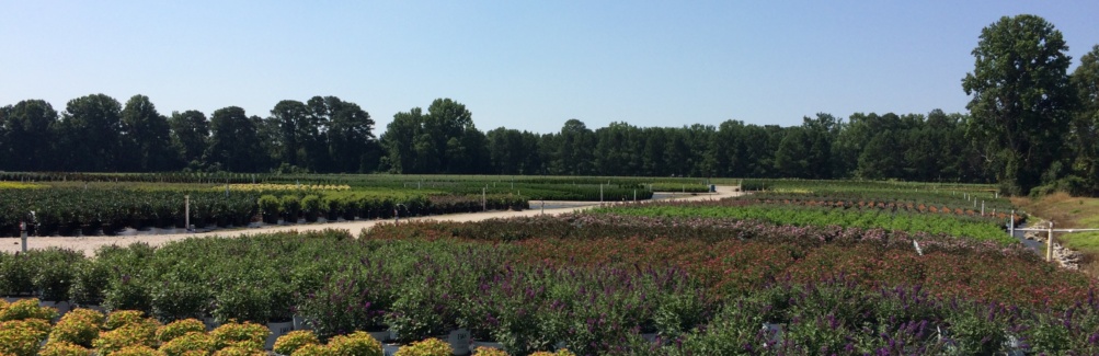 Fair View Nursery