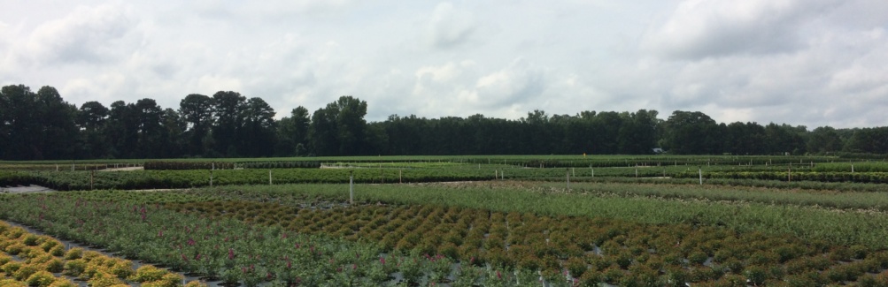 Fair View Nursery